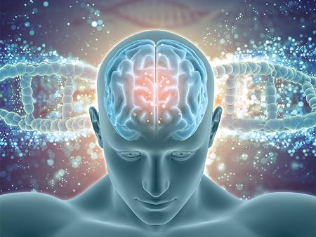 Nerve Conduction Velocity Test (NCV)