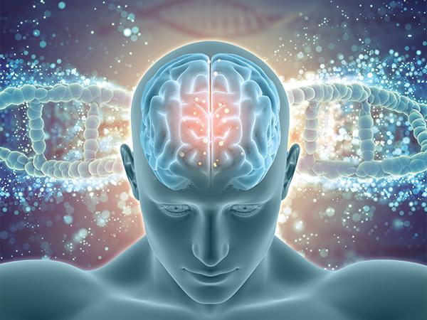 Nerve Conduction Velocity Test (NCV)