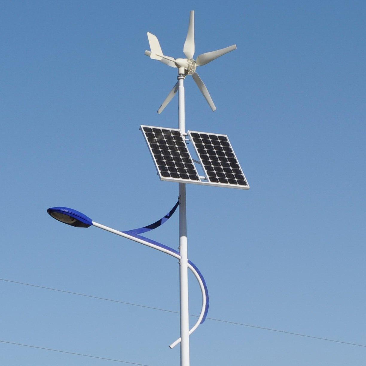 Solar and Wind Street Lights