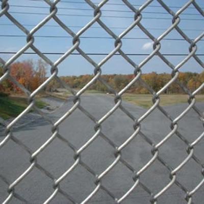 Chain Link