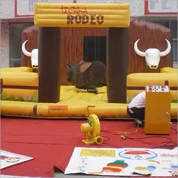 Rodeo Bull