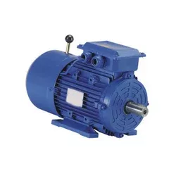 Three-phase Induction Motor with Brake and Manuale Relies 
