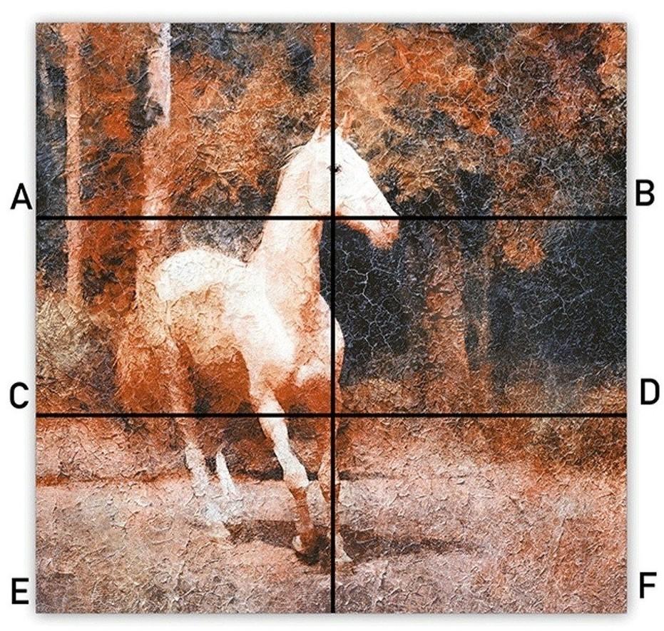 Drawing room tiles