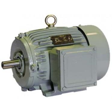 3 Phase Fan Cooled Foot motorized Induction Motor