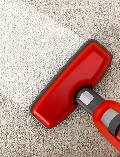 Carpet Cleaning Services