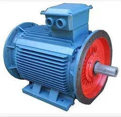 Double Fluch 3 Phase Induction Motor