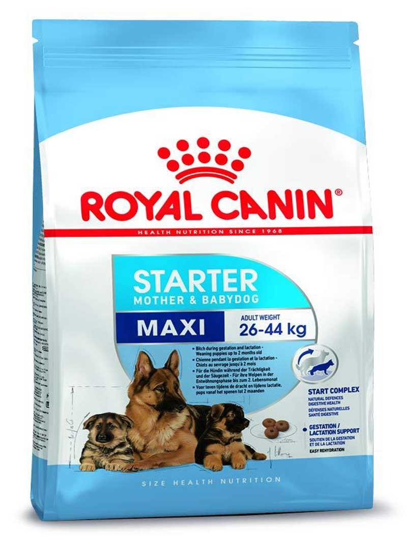 Maxi Starter (1 kg)