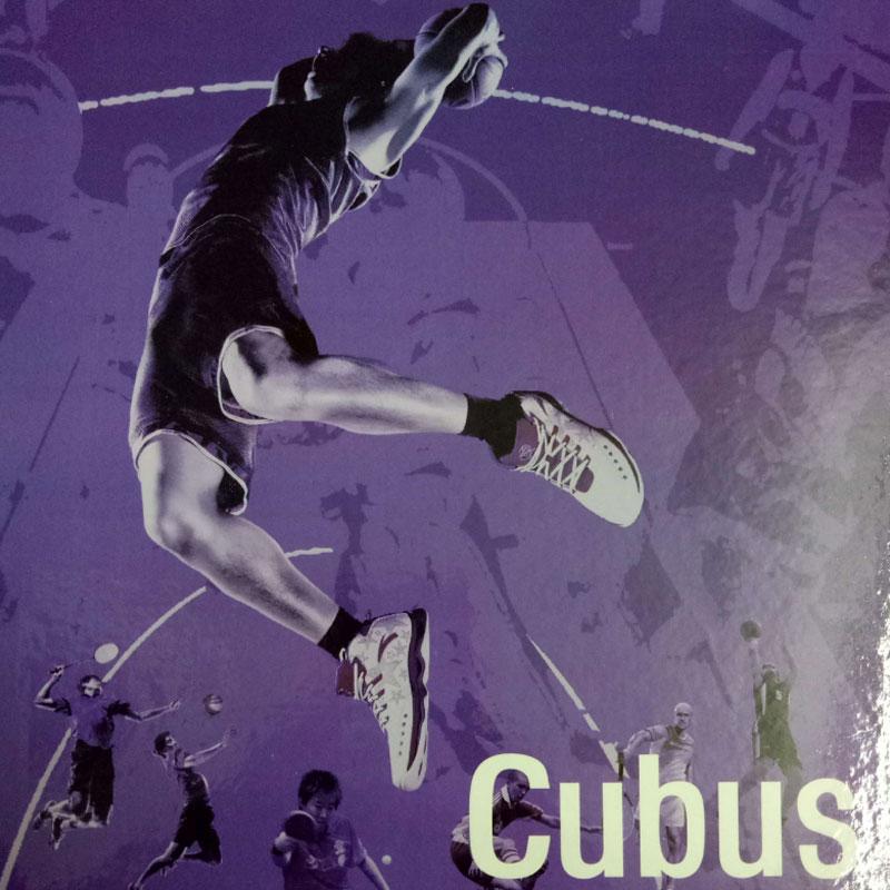 Sports Flooring Viewbook