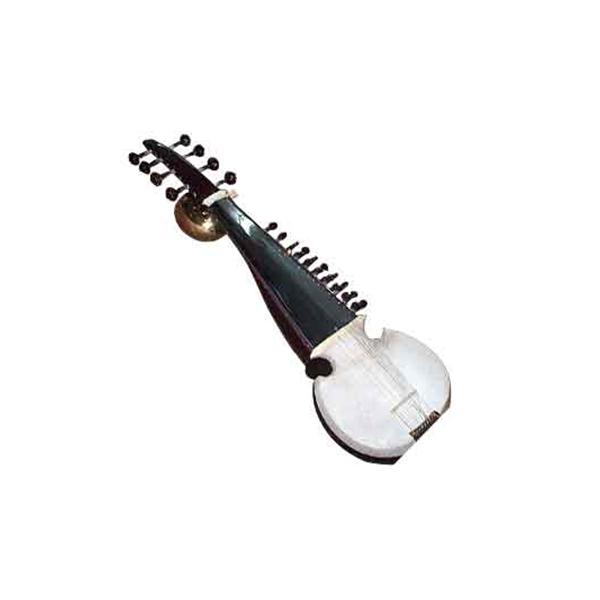 Professional Sarod