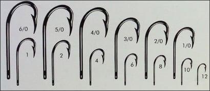 Beak Hooks