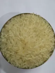 10-10 Rice